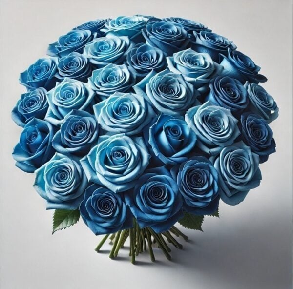 50 Shades of Blue (BASE)