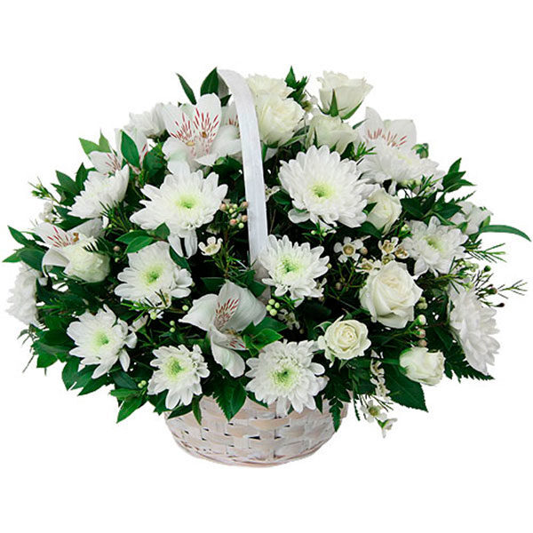 White Basket (BASE)