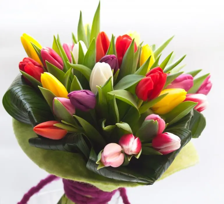 Tulip mix (BASE)