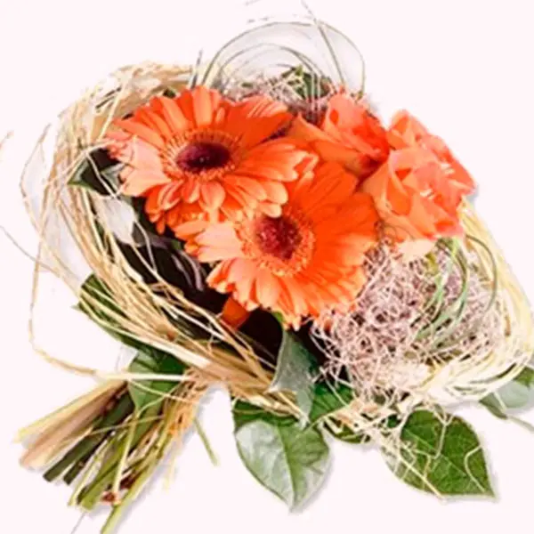Gerbera Pesca