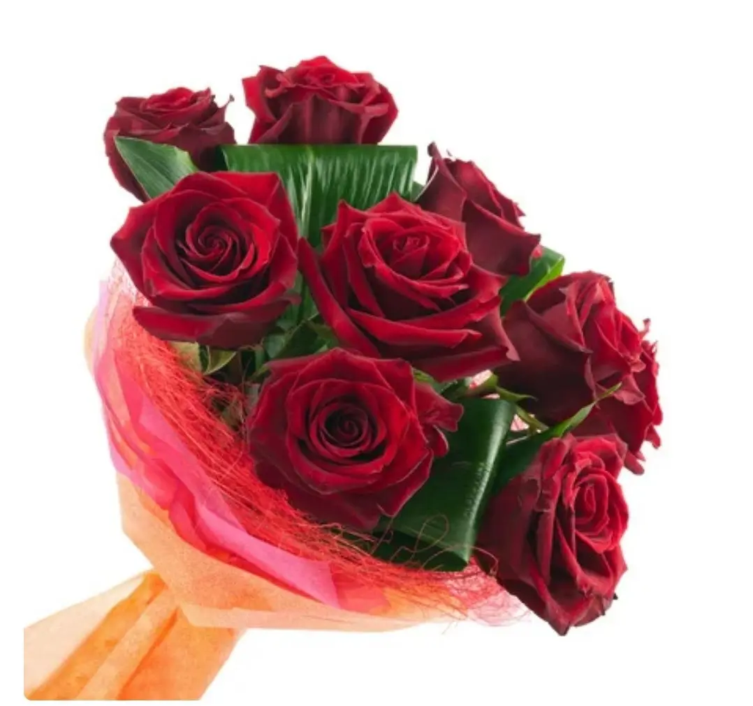 Rose vellutate