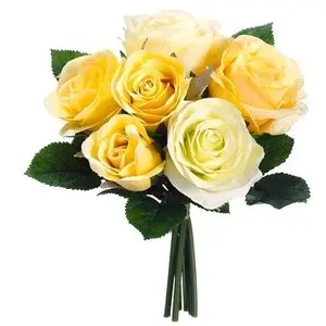 Rose Gialle