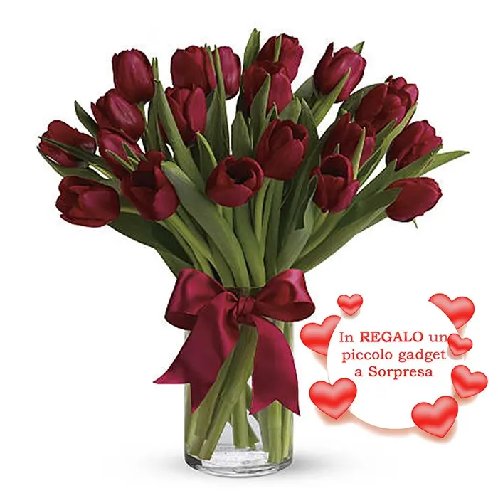 Tulipani Rossi