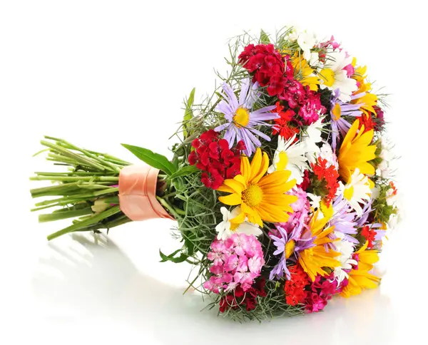 Fiori di Campo