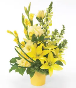 Delicata Passione