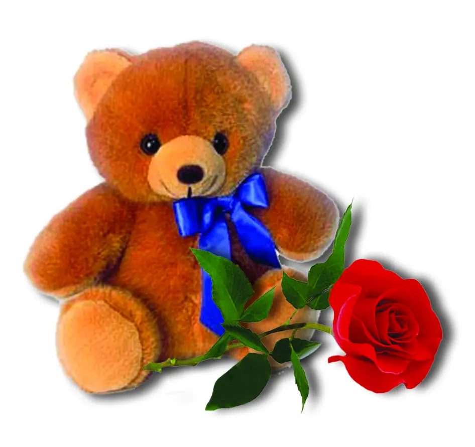 Teddy Rose (SPECIAL)
