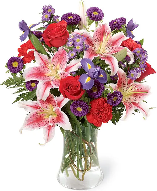 Mix di Fiori in vaso