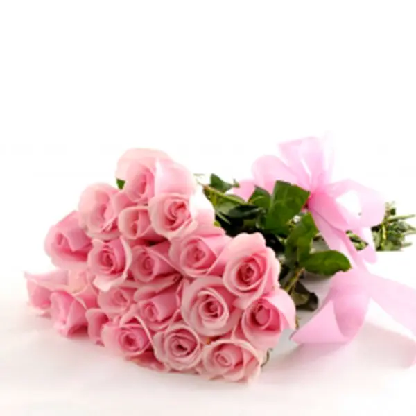 Cipria Rose