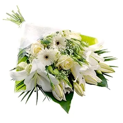 Confezione Bianca