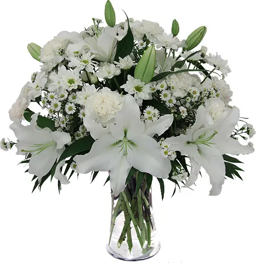 Giglio Bianco