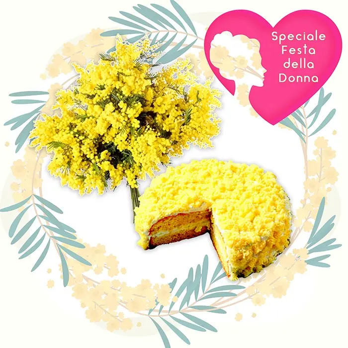 Torta e Mimosa