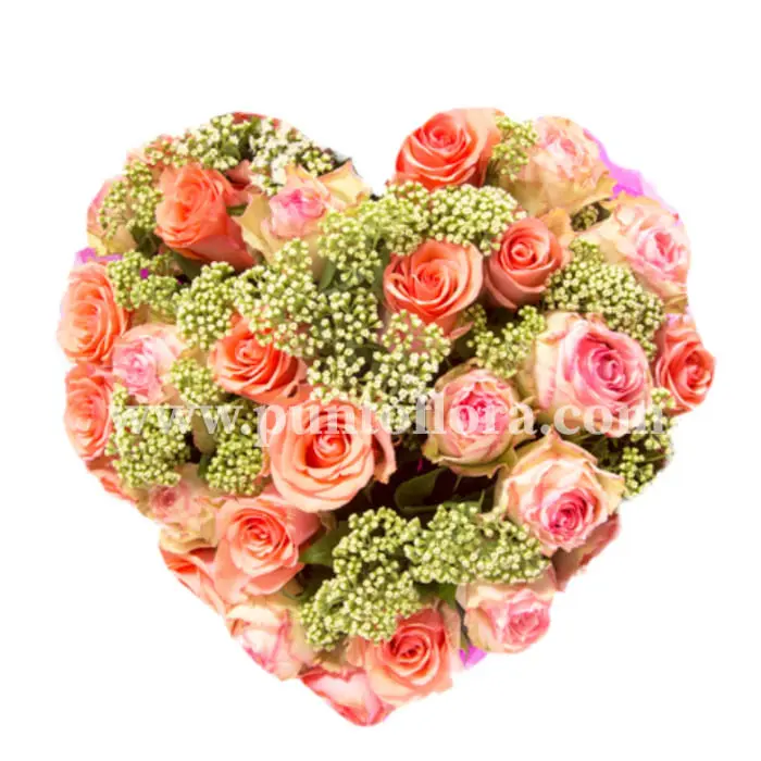 Cuore di Rose Rosa