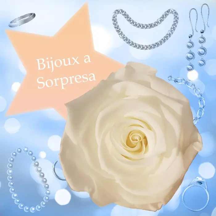 Rosa Bianca e Bijoux