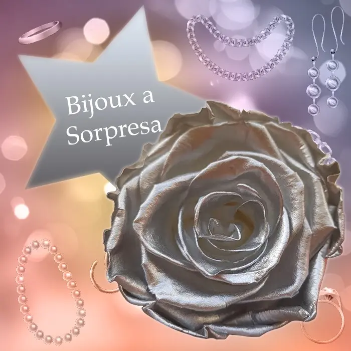 Rosa Argento e Bijoux