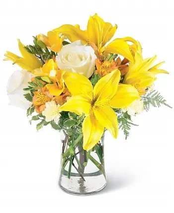 Candore Giallo