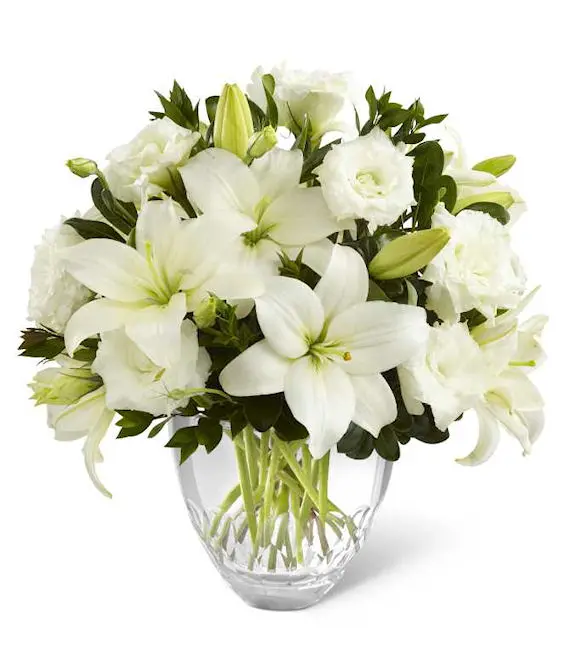 Bianco Candore