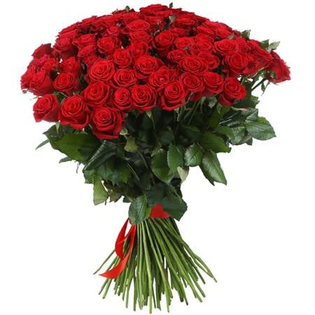 Regal Roses