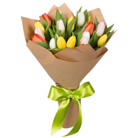 Spring Tulips