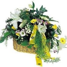 Orient Basket