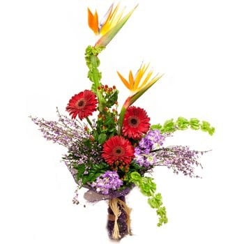 Paradise And Daisies Bouquet