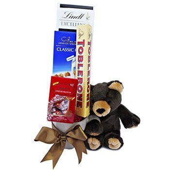 Beary Good Morning
