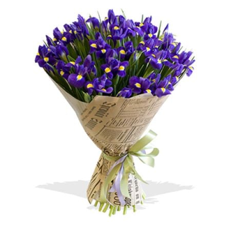 Iconic Iris