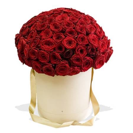 Red Riveting Roses