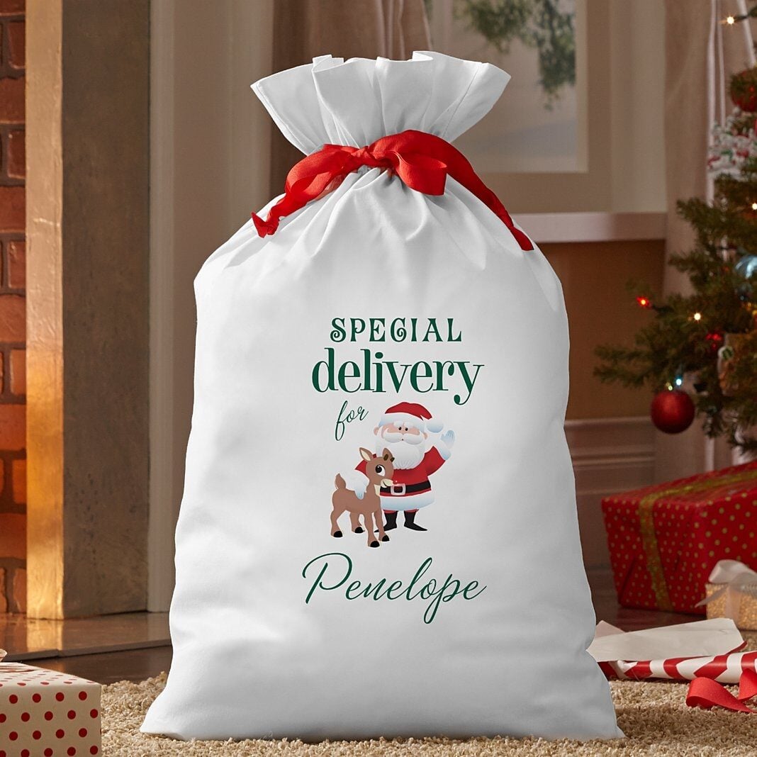 RudolphÂ® & Santa Special Delivery Oversized Gift Bag
