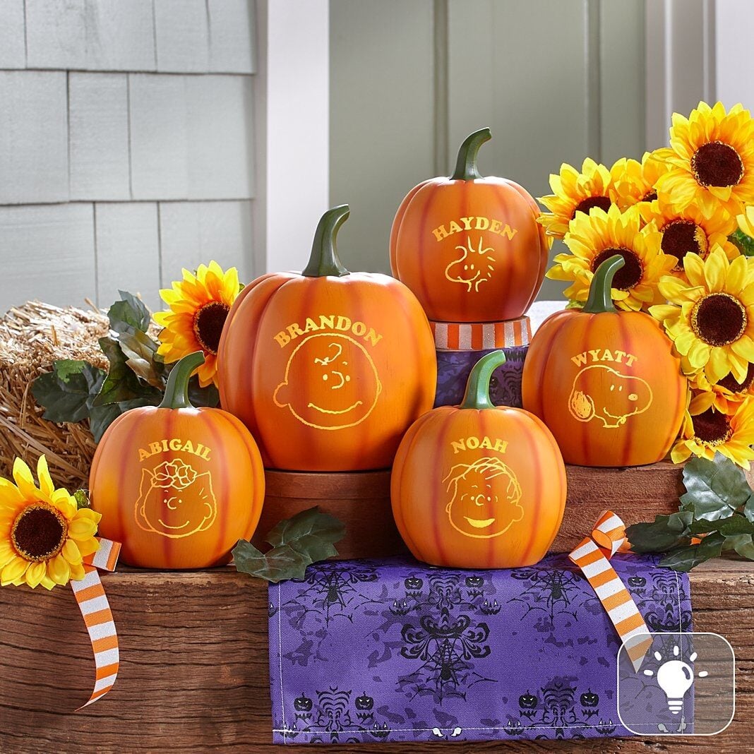 PEANUTS® Character Light-Up Pumpkin Patch