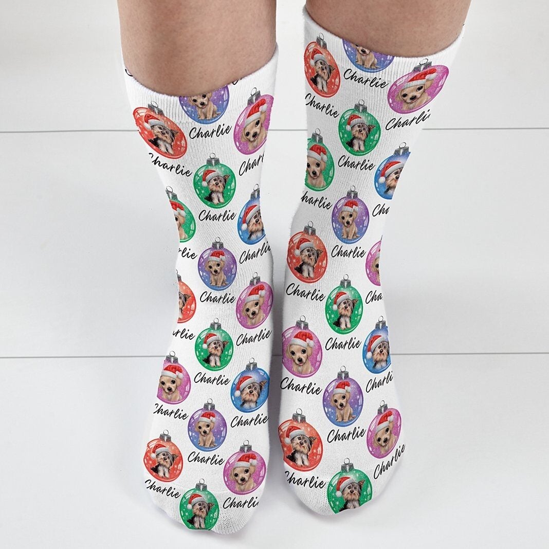 Animal Club International Socks All Over Print