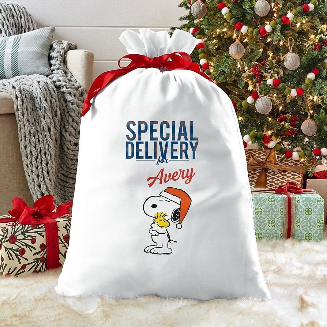 PEANUTS® Snoopy & Woodstock Special Delivery Oversized Gift Bag