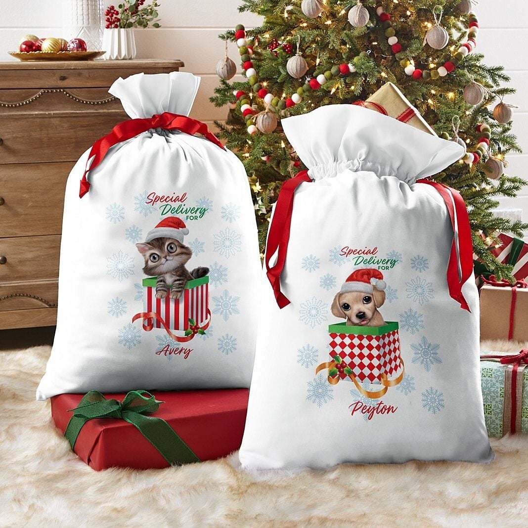 Animal Club International Oversized Gift Bag