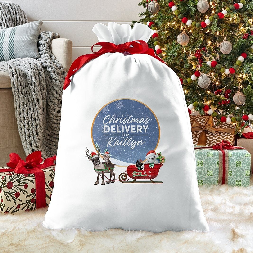Animal Club International Baby Animals Christmas Gift Bag