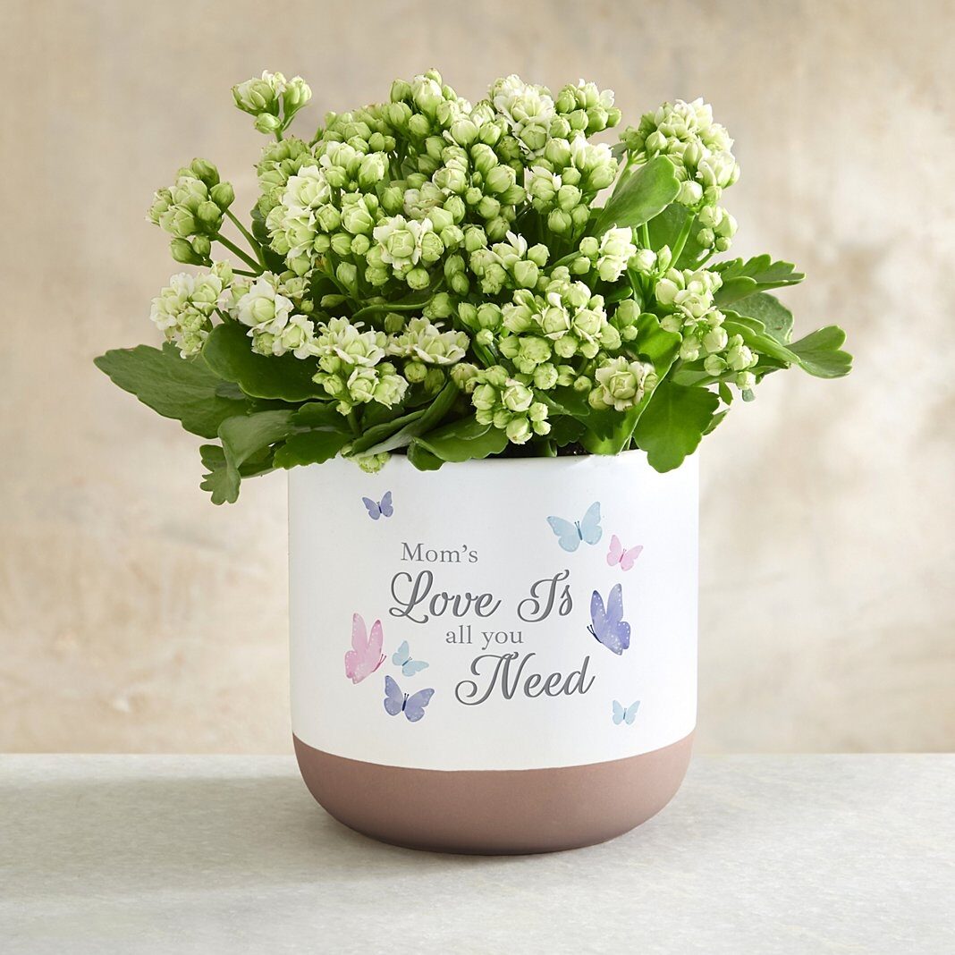 Love Is All You Need Butterfly Planter