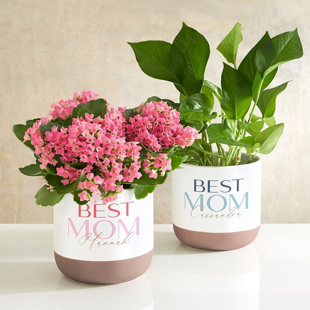 Best Mom Planter