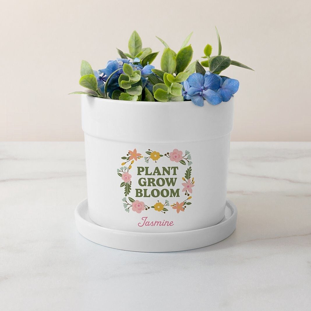 Plant Grow Bloom Planter with Tray