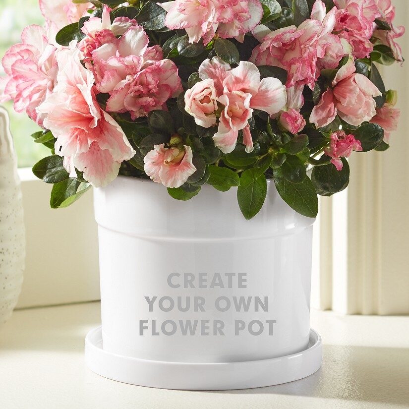 Create Your Own Flower Pot