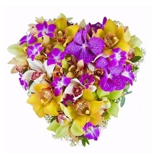 Tender Heart