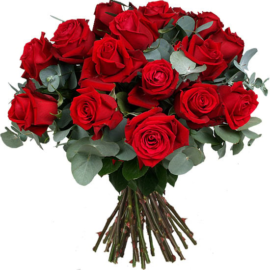 Rosas Premium (Small)
