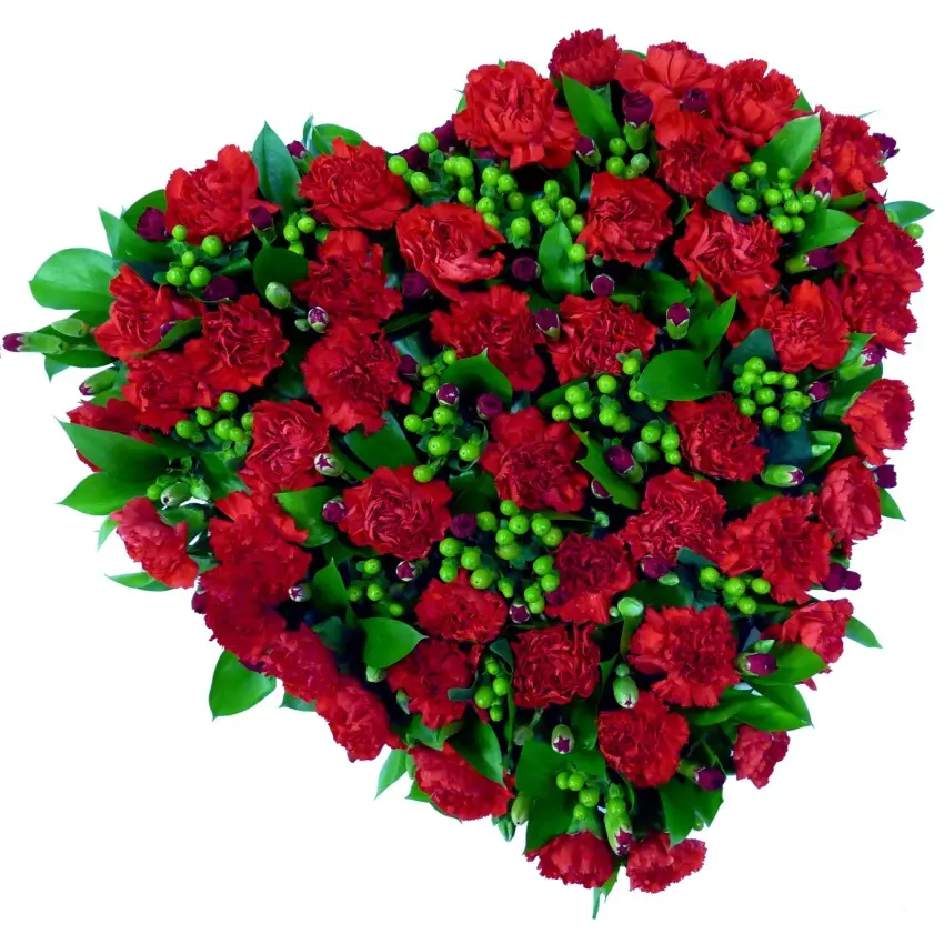 Carnation Heart 12"
