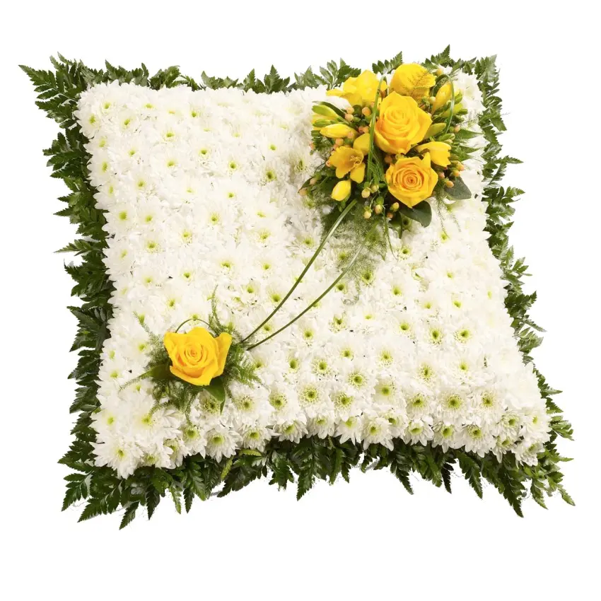 Classic Cushion