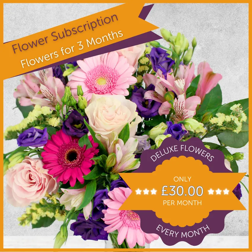 Flowers for 3 Months
