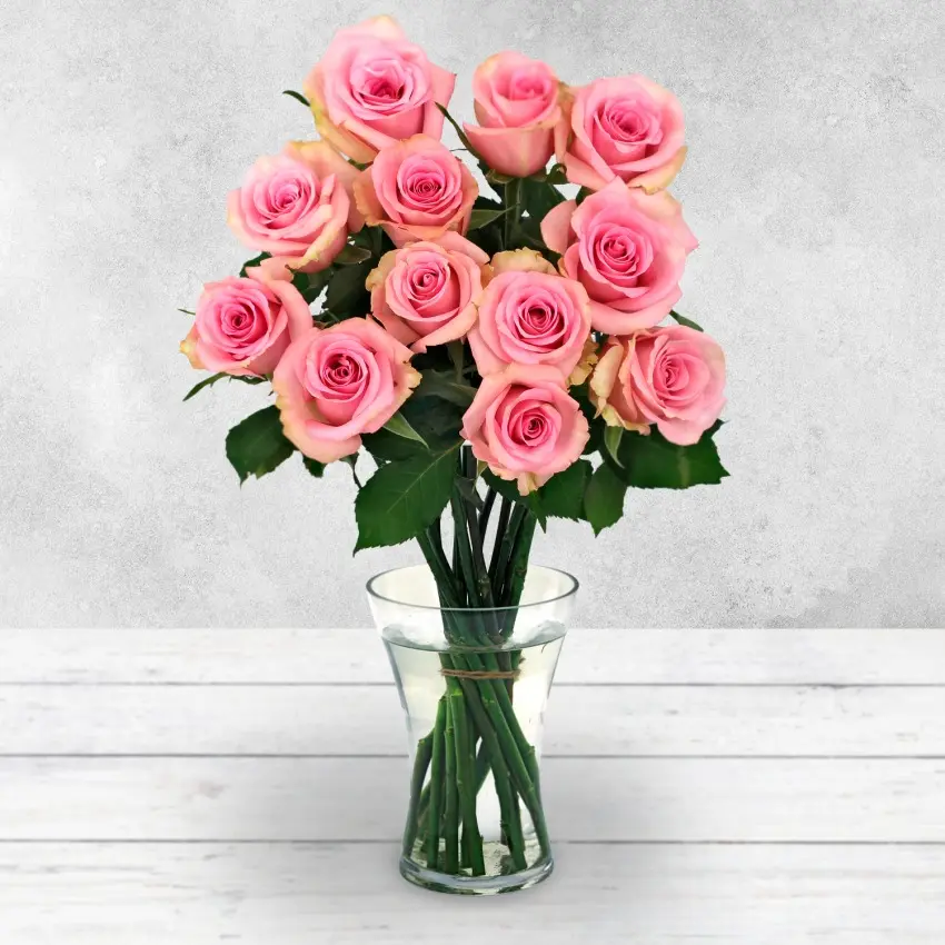 12 Pink Rose Bouquet