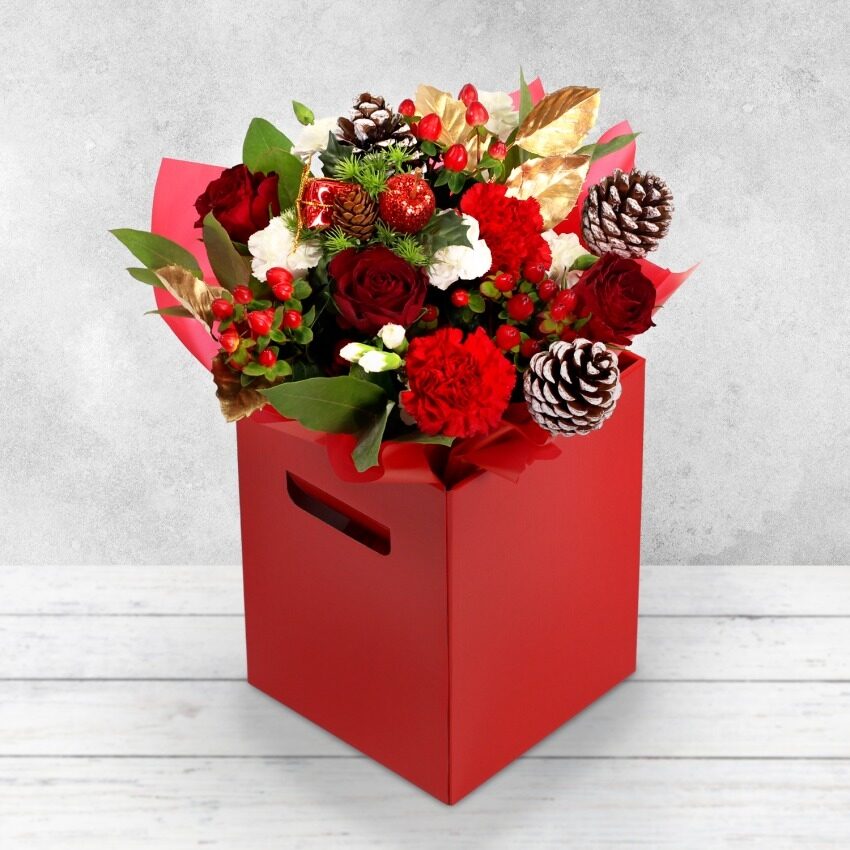 Ruby Frost Gift Bag