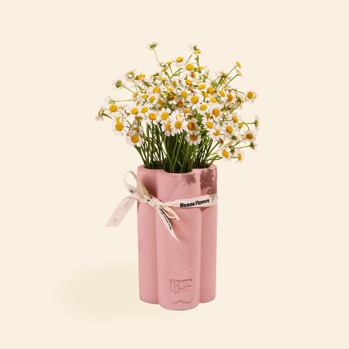 Chamomile in The Journey Vase