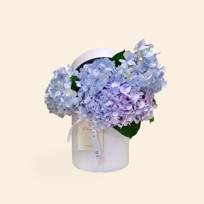 Hydrangea Hat Box