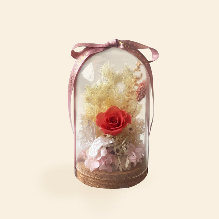 Catiana Preserved Rose Bell Jar