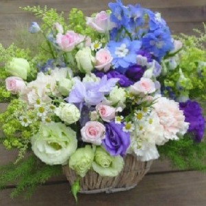 Flower Baskets-290
