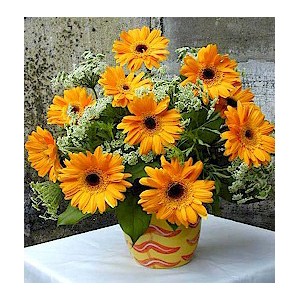 Flower Baskets-292