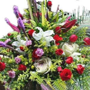 Flower Stand-101